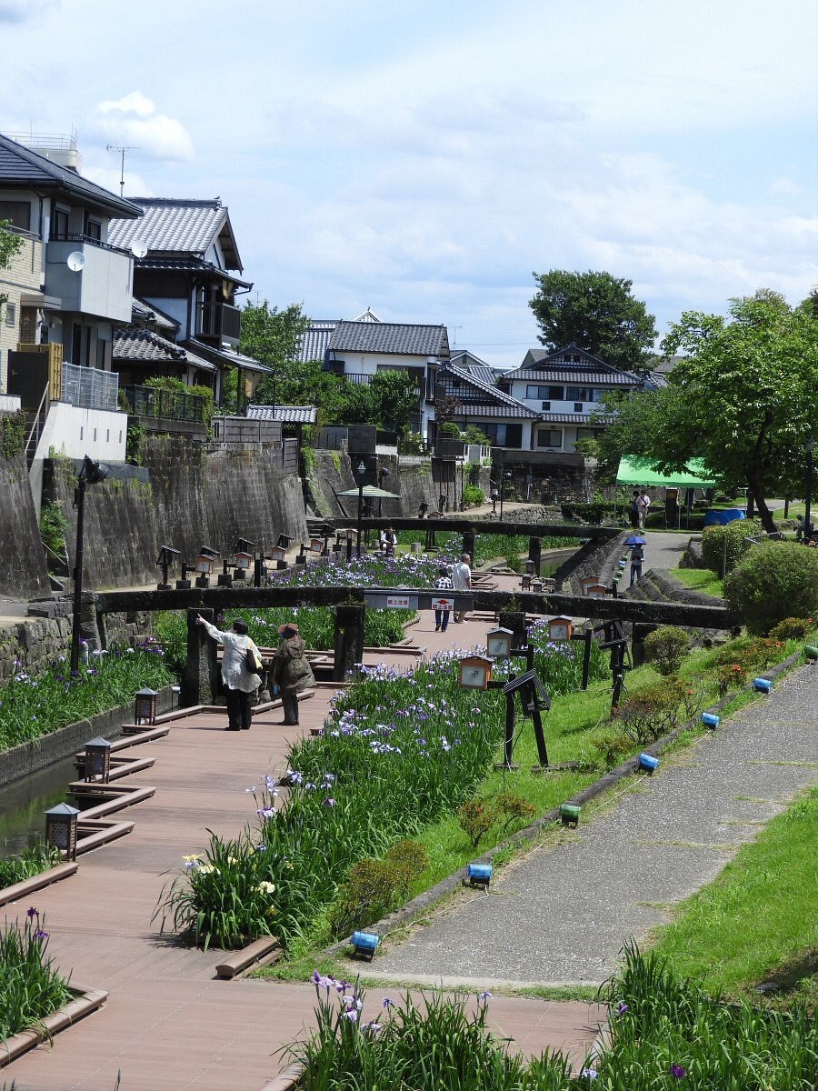 🏞️ 다카세 우라카와 물가 녹지(다카세 우라카와 미즈기와 료쿠치) 이미지 2